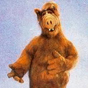 Alf Alf